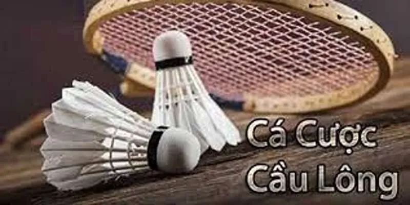 ca-cuoc-cau-long-3